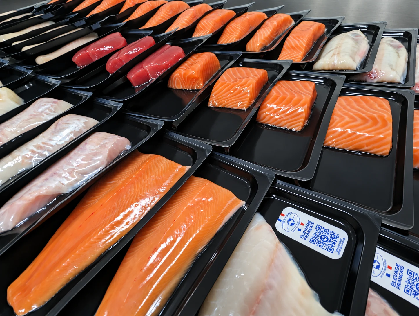 Assortiment de saumon, de thon et de poissons blancs conditionnés en barquettes SkinPack