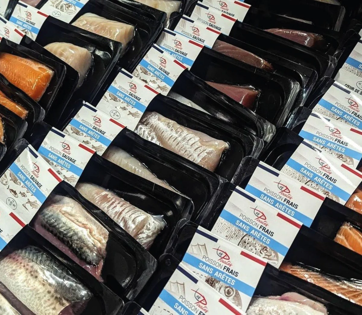 Barquettes SkinPack de saumon et poissons blancs, vues en gros plan
